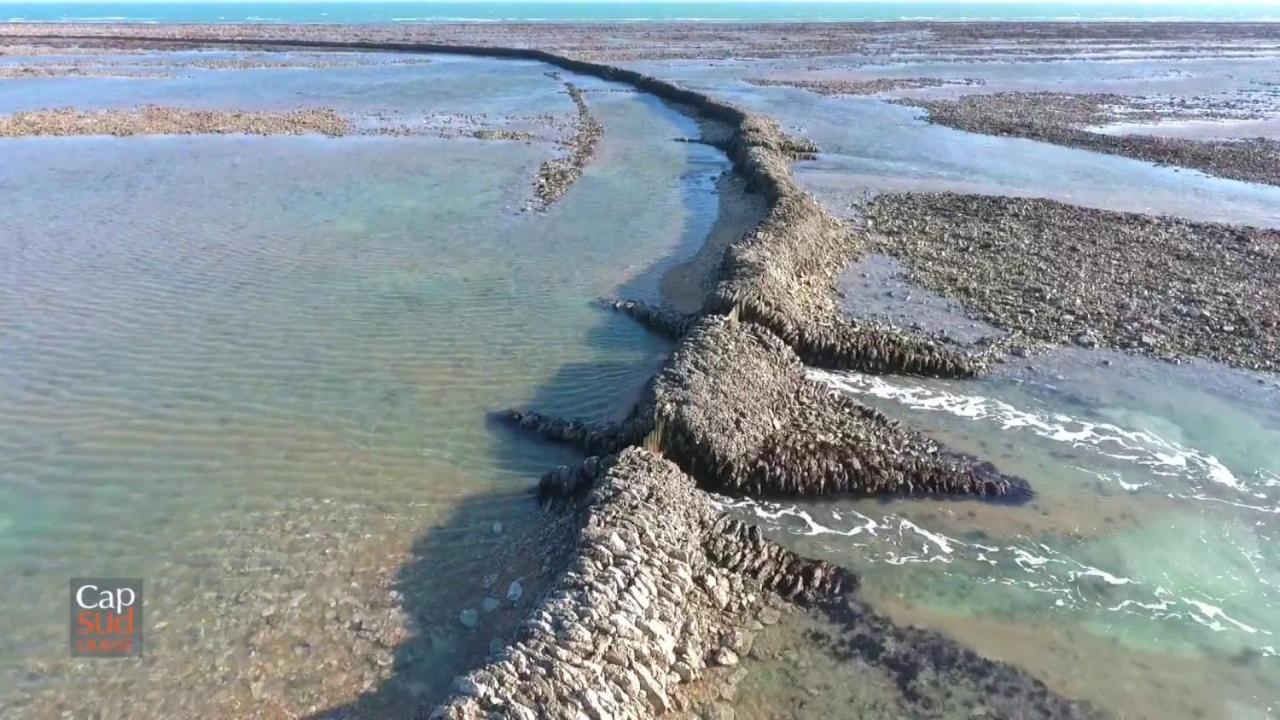 Les Pieds Dans L'Eau Acces Direct A La Plage 拉康提内勒 外观 照片
