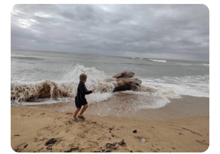 Les Pieds Dans L'Eau Acces Direct A La Plage 拉康提内勒 外观 照片